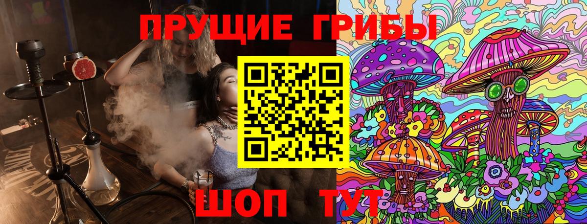 Псилоцибиновые грибы Psilocybine cubensis Вязники
