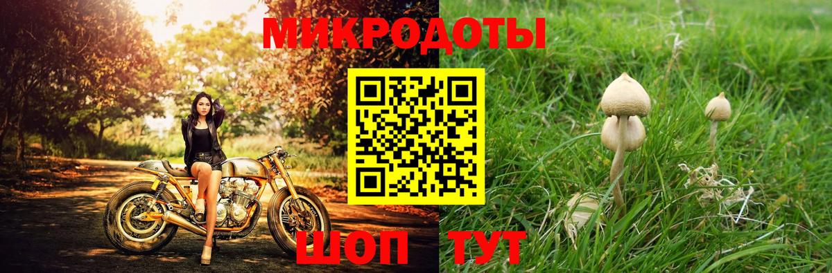 Псилоцибиновые грибы Psilocybine cubensis  Вход с VPN  Вязники 